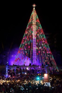 El Gran Árbol de la Navidad
