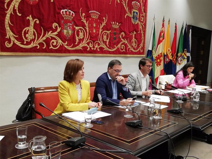 La consejera de Sanidad del Gobierno de Canarias, Teresa Cruz Oval, en la comisión parlamentaria de este lunes