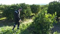 La Guardia Civil inicia controles "exhaustivos" de las zonas donde pudieran estar los restos de Marta Calvo