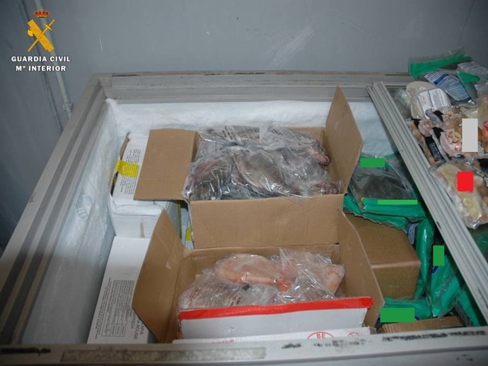 Intervienen dos toneladas de alimentos congelados y refrigerados no aptos para el consumo, en La Puebla de Alfindén.