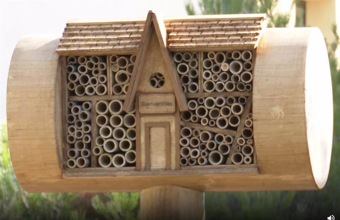 Nace Bee&Bee, la primera cadena hotelera para abejas