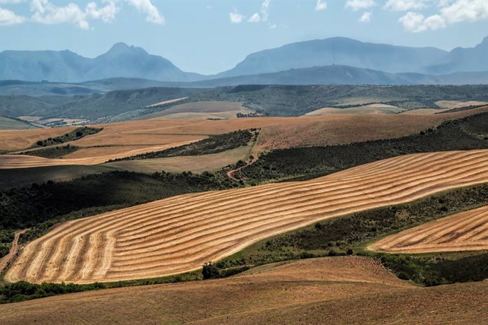 Cambios en circulación atmosférica amenazan la producción de alimentos