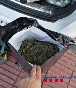 Marihuana escondida en la moto de uno de los detenidos