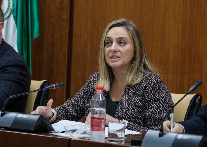 La consejera de Fomento, Infraestructuras y Ordenación del Territorio, Marifrán Carazo