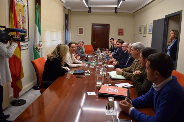 Reunión de la Junta con representantes del sector olivarero para abordar los pasos a seguir con la IGP Aceite de Jaén