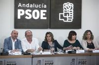 PSOE-A denuncia el "montaje" sobre las cajas fuertes en IDEA y asegura que el juzgado nunca requirió esa documentación