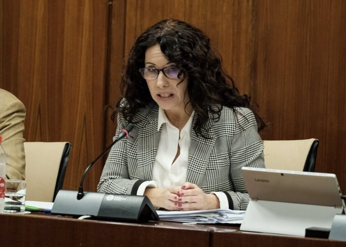 La consejera de Igualdad, Rocío Ruiz, este martes durante su comparencia en comisión.