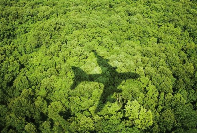 Avión sobrevuela un bosque