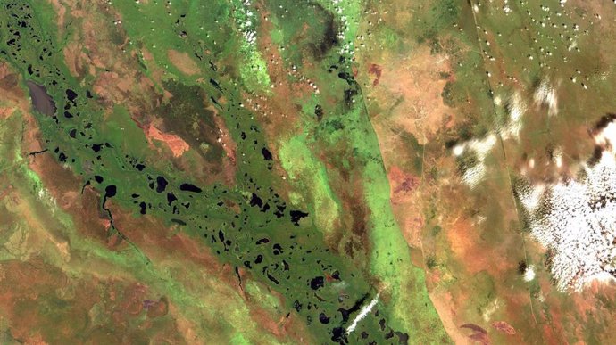 Humedal del Sudd en Sudán del Sur