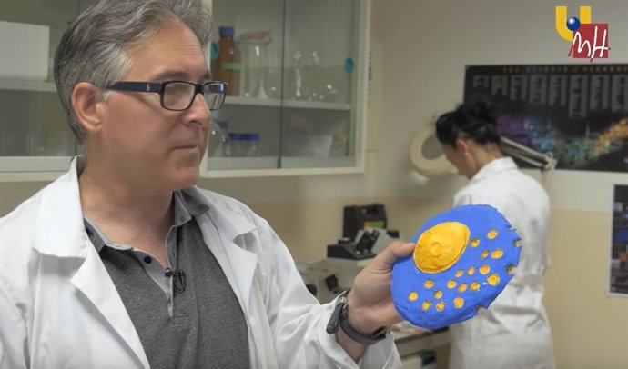 Investigadores españoles descubren que un fármaco para tratar la esclerosis pued