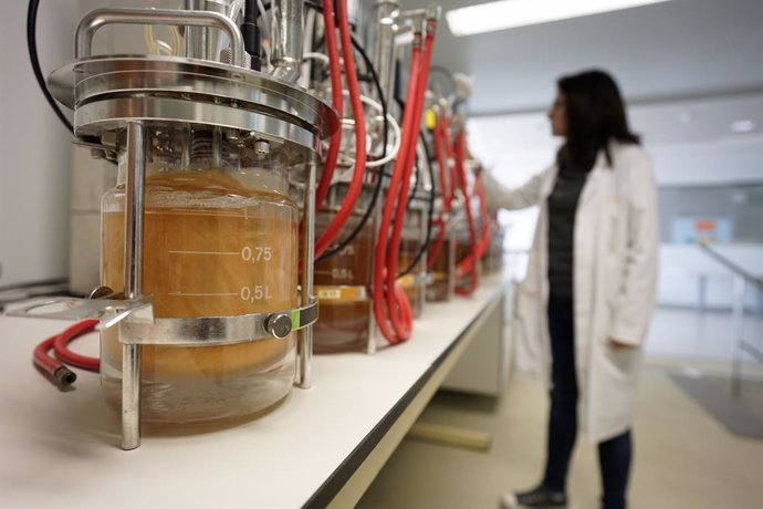 AINIA desarrolla biofactorías de microorganismos para obtener sustancias industriales más sostenibles