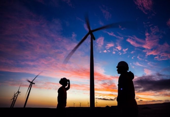 Economía.- Asociaciones de renovables se unen para fomentar el desarrollo de pro