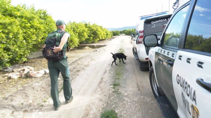 Un agent amb un gos en la cerca de Marta Calvo pels voltants de Manuel
