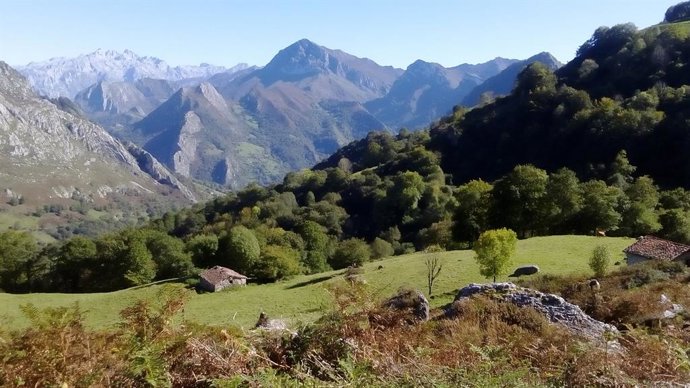 COP25.- WWF urge a las partes a lograr urgentemente acuerdos con la conservación