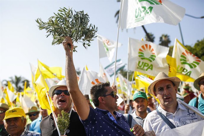 UPA-A apela a la UE ante las "incertidumbres" del almacenamiento privado de acei