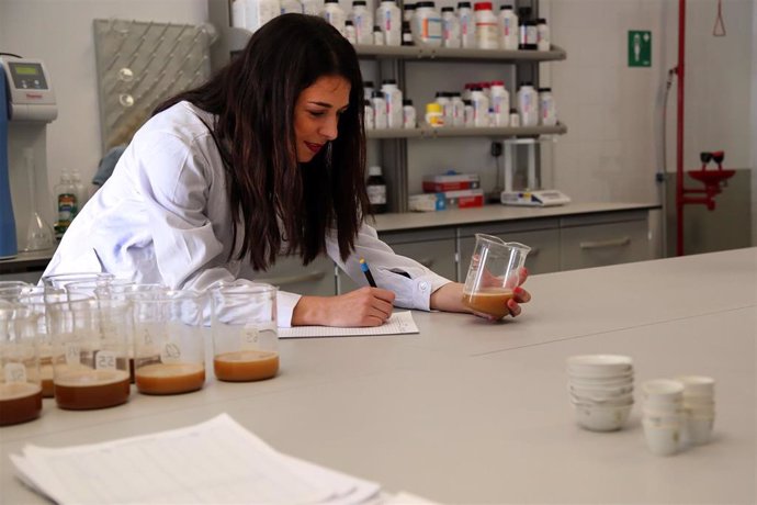 Una investigadora, en un laboratorio de la Universidad de Málaga.