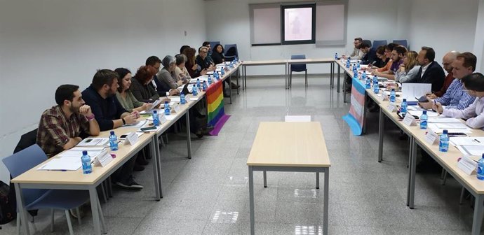 Reunión del pleno del Consejo LGTBI de Baleares.