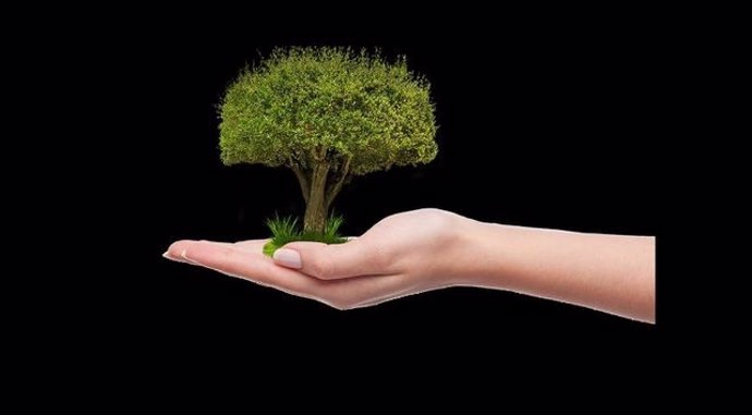 Alcaldes aragoneses se suman a la petición del Parlamento europeo y  plantarán un árbol antes del 5 de junio
