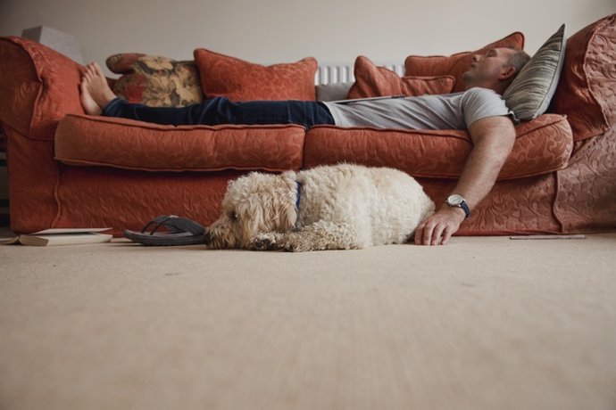 Hombre echándose la siesta en el sofá con su perro acompañándolo.