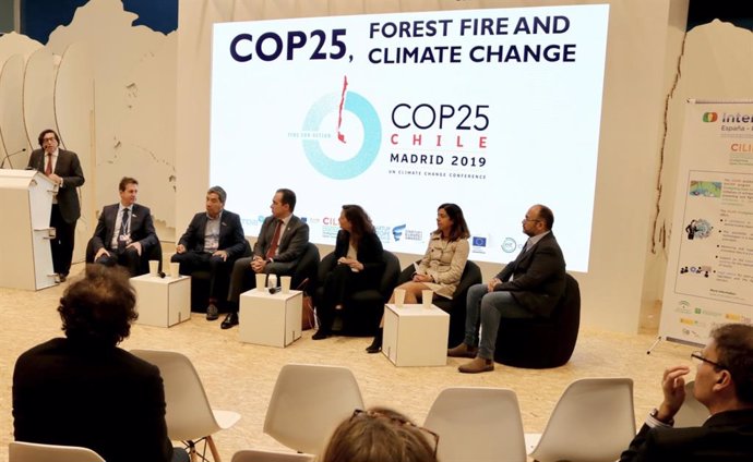 El secretario general de Medio Ambiente, Agua y Cambio Climático, Francisco Gutiérrez, interviene en la mesa redonda organizada en la COP25 bajo el título Cooperación, gobernanza e innovación en la lucha y prevención de incendios forestales.