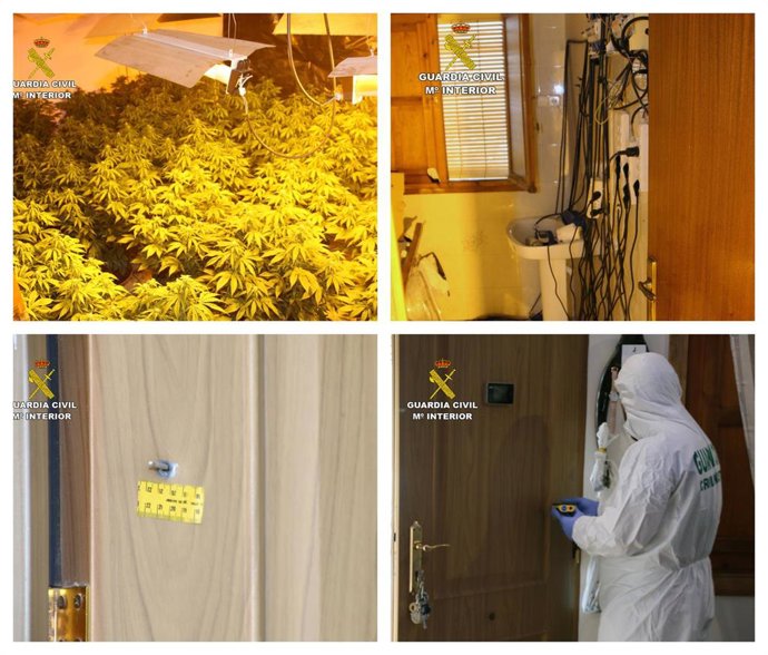 Imágenes de la plantación que los detenidos asaltaron, así como de una de las balas empleadas en el homicidio, y de los agentes durante la investigación