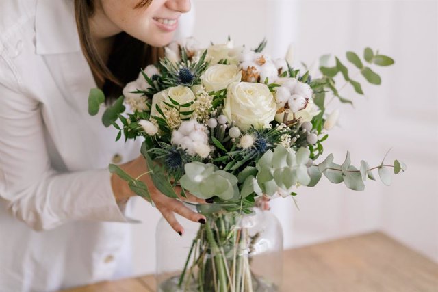 ¿Cómo Decorar Nuestra Navidad Con Flores Y Plantas?