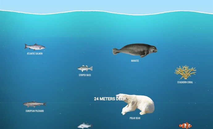 La web 'The Deep Sea' muestra la vida en lo más profundo de los océanos a golpe 