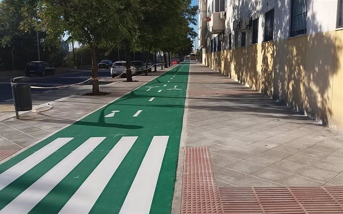 26M.- Biciutat pide llegar a los 100 kilómetros de carril bici en Palma durante la próxima legislatura 