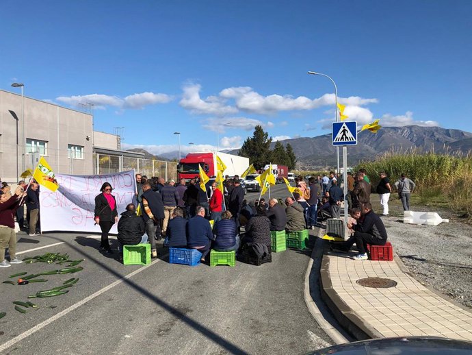Málaga.- Agricultores se concentran este viernes en Málaga por la crisis de prec