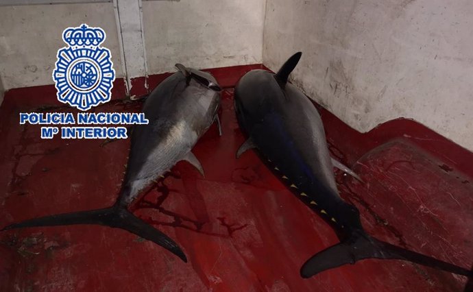 Dos atunes decomisados por la Policía Nacional
