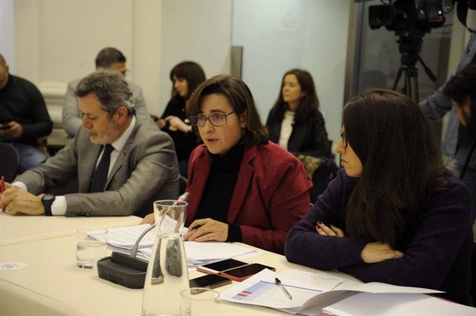 La secretaria general de la Consejería de Movilidad, Transporte y Vivienda, María Luisa Corrales