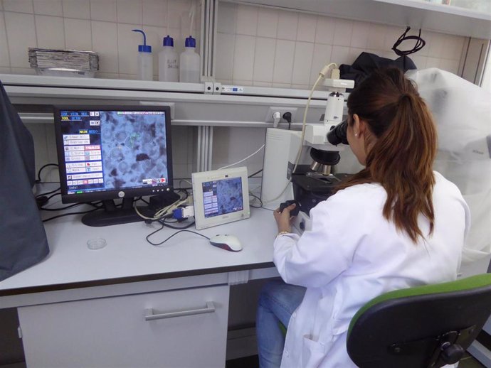 Una investigadora trabaja en uno de los laboratorios del IFAPA Agua del Pino
