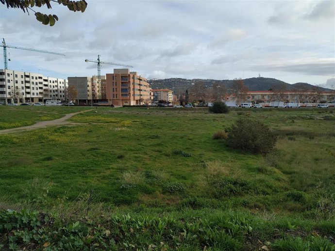 Parcela para construir el nuevo colegio del Paideuterion