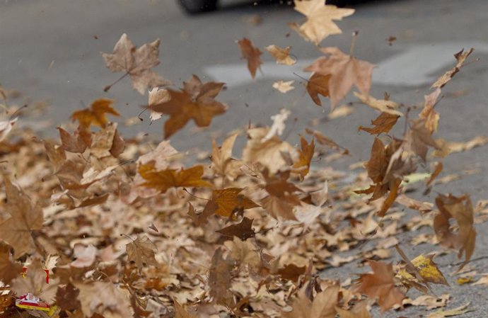 Recursos de viento, temporal, hojas, otoño