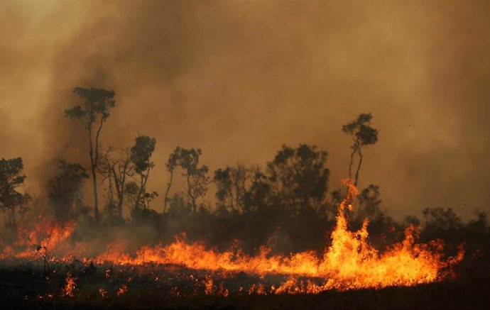 Incendio en la selva del Amazonas brasileño de Tenharim Marmelos.