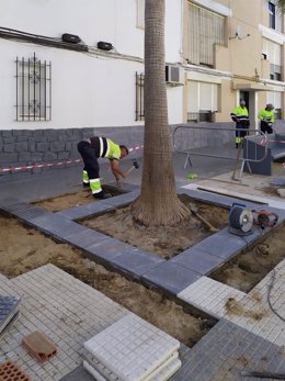 Arreglo en los alcorques de una calle de Huelva