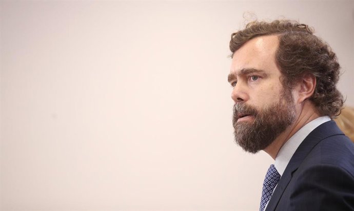 El portavoz del Vox en el Congreso, Iván Espinosa de los Monteros