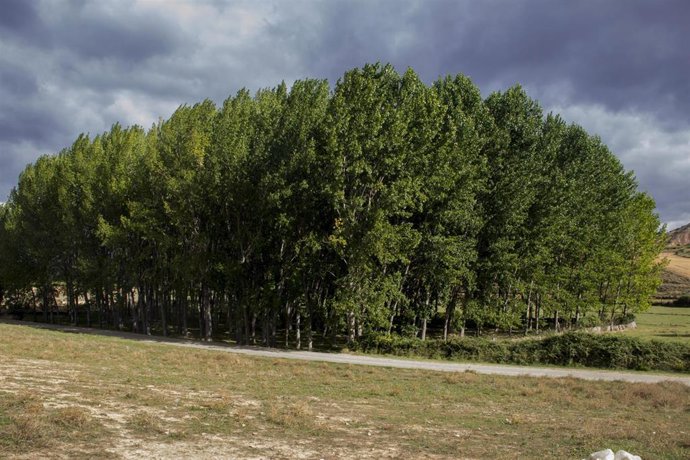Villamediana señalizará tres rutas lúdico-deportivas y restaurará la fuente Onvecinos