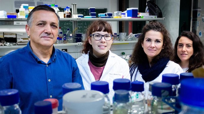 Integrantes del grupo de investigación de la Universidad Pablo de Olavide sobre la coenzima Q10: Carlos Santos Ocaña, María Alcázar Fabra, Ana Sánchez Cuesta y Ana Cortés Rodríguez.