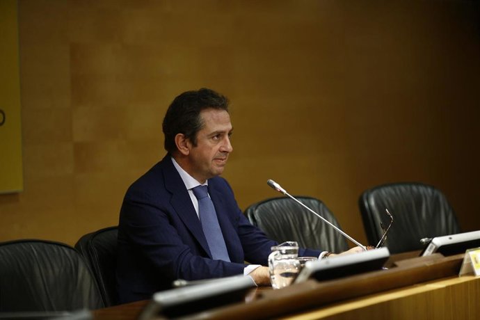 El presidente del IEE Íñigo Fernández de Mesa