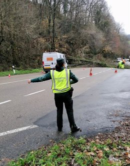 Arbol caído en Parres
