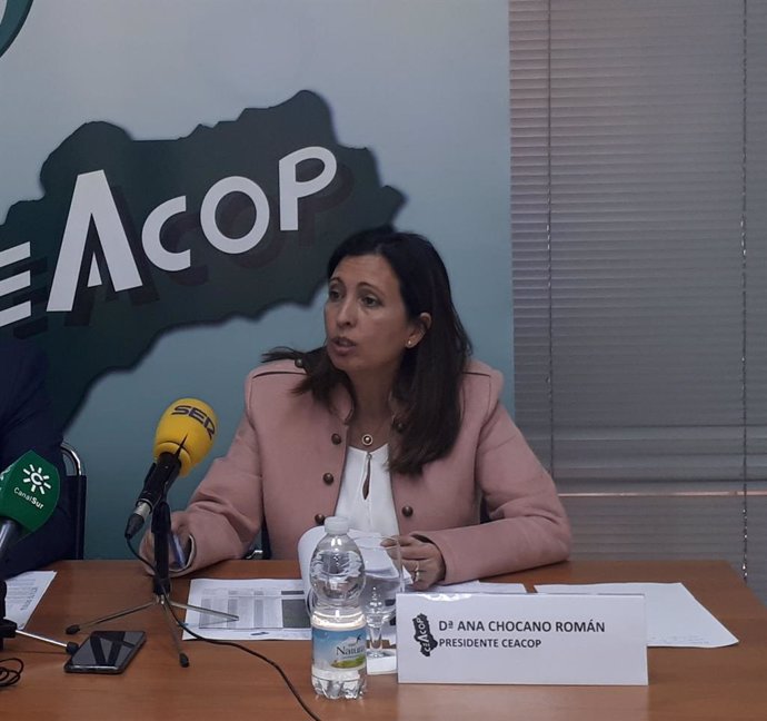 La presidenta de Ceacop, Ana Chocano.