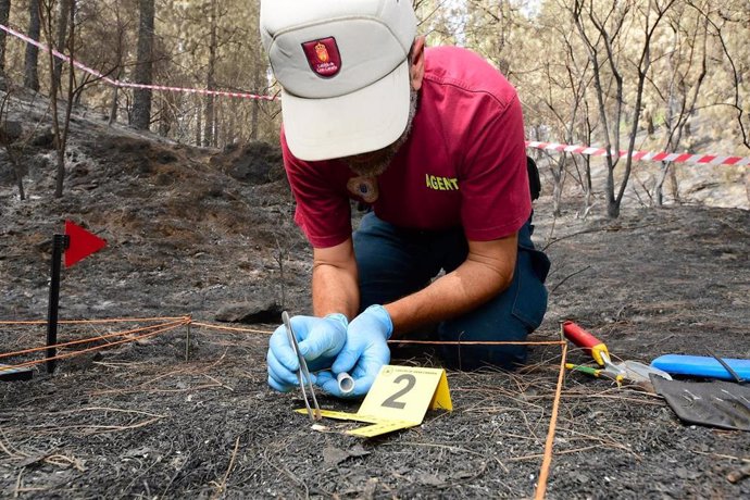 Brigada investigando las causas del fuego de Valleseco
