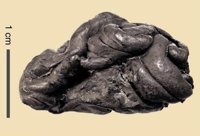 Un trozo de chicle prehistórico revela el ADN de su consumidor