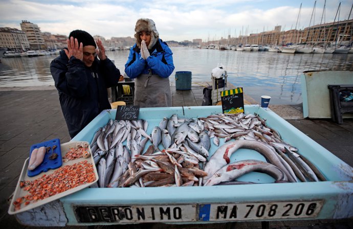 Pescadores comprueban el género en un puerto de Marsella.