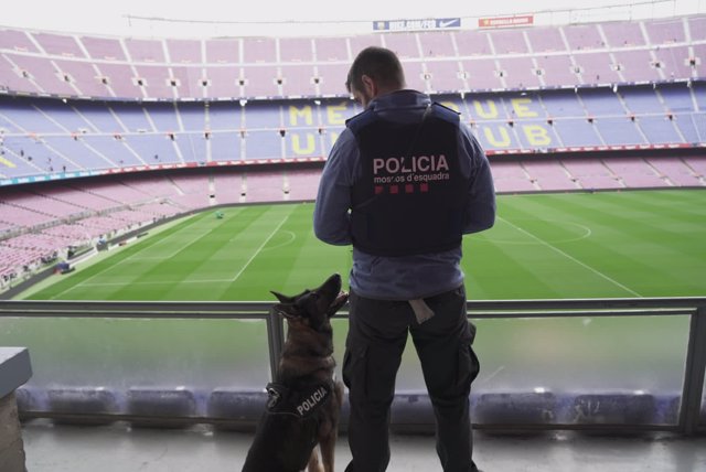 La unidad canina de los Mossos d'Esquadra en el Camp Nou