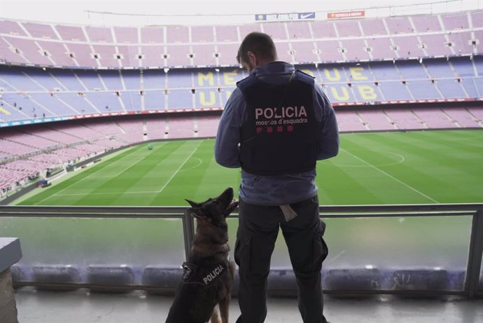 La unitat canina dels Mossos d'Esquadra al Camp Nou