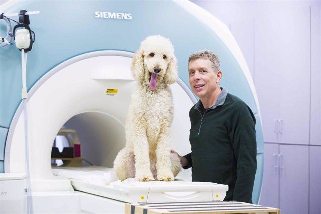 El neurocientífico Gregory Berns y un perro utilizado en el estudio