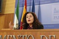 Adelante afirma que Junta tiene la obligación de atender a MENA y espera que no sucumba a la "obsesión enfermiza" de Vox