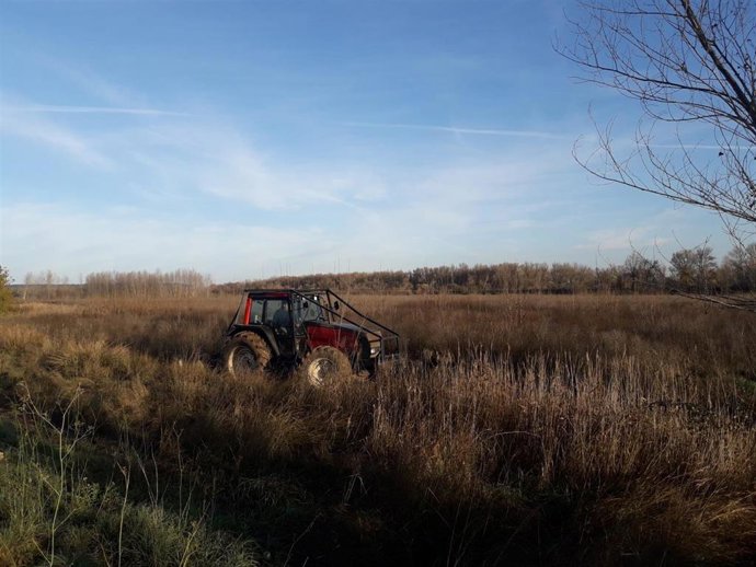 Inicio trabajos de restauración fluvial Ebro en Alfaro